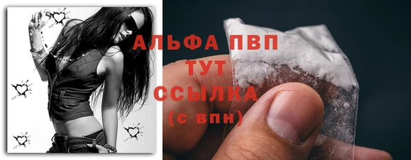 мдпв Болхов