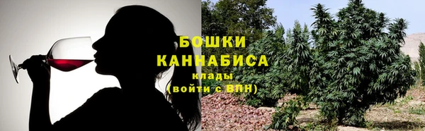 мдпв Болхов