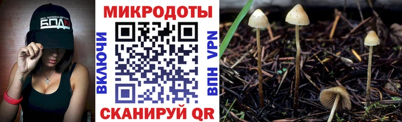 Галлюциногенные грибы GOLDEN TEACHER  продажа наркотиков  hydra сайт  сайты даркнета клад  Кириллов 