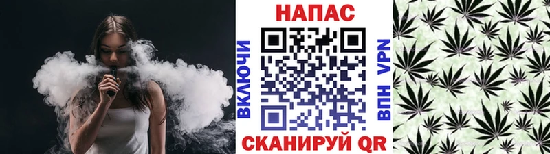сколько стоит  Кириллов  Бошки марихуана конопля 
